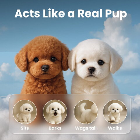 WiggyDog image