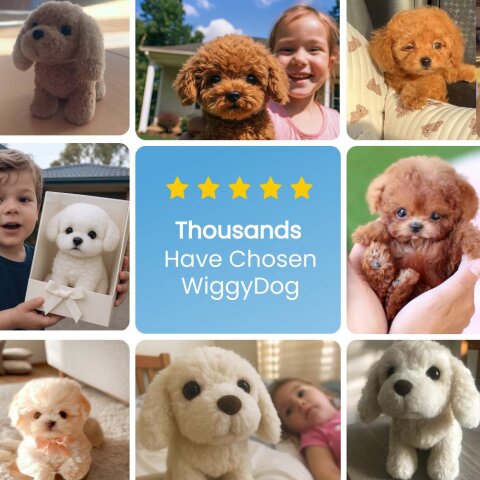 WiggyDog image